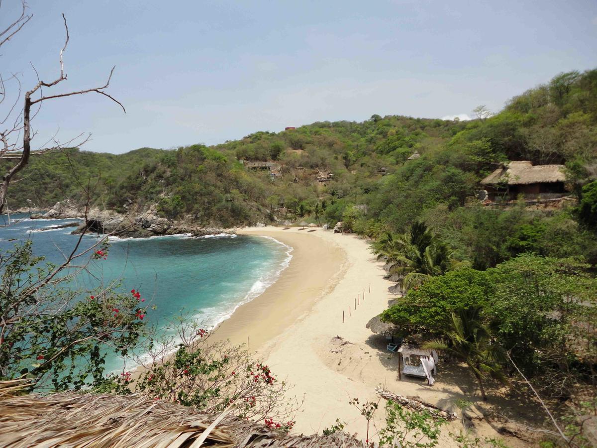 Casa Luna Playa Hotel Puerto Angel Bagian luar foto