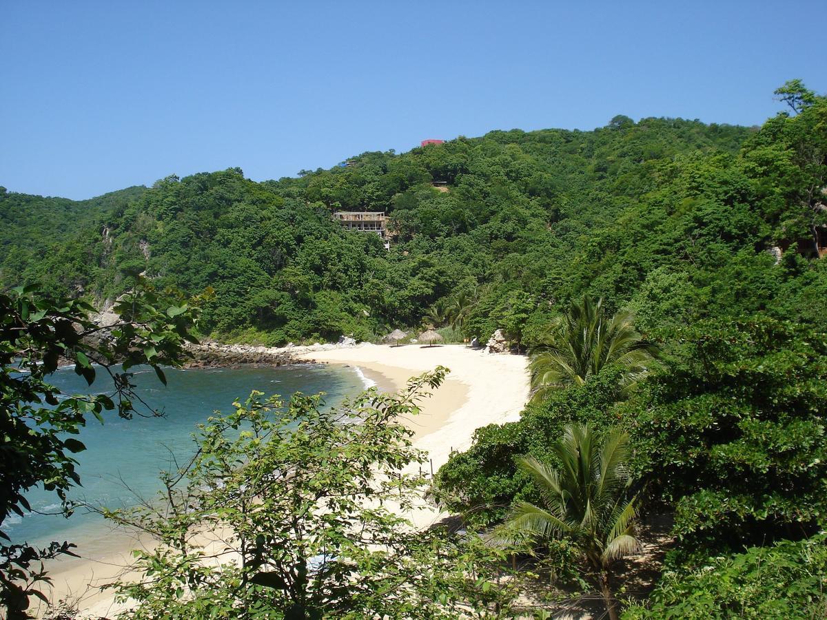 Casa Luna Playa Hotel Puerto Angel Bagian luar foto